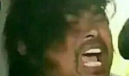 娱乐圈沙雕吃瓜文案,沙雕吃瓜文案背后的欢乐与真相