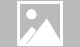 逗麻豆,揭秘网络红人的魅力与影响力